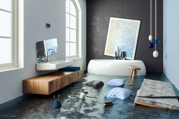 Best Water damage mitigation services  in Belleville, MI