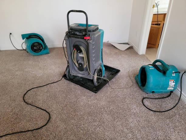  Belleville, MI Water damage restoration Pros
