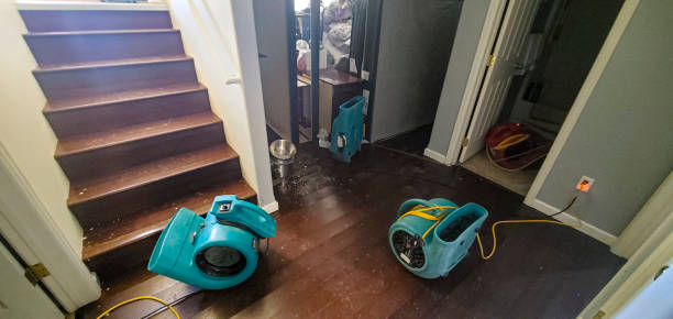 Best Residential water damage restoration  in Belleville, MI