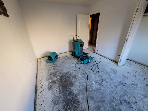 Best Water damage contractors near me  in Belleville, MI