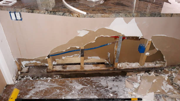 Best Water damage restoration insurance claims  in Belleville, MI