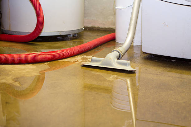 Best Water damage restoration near me  in Belleville, MI