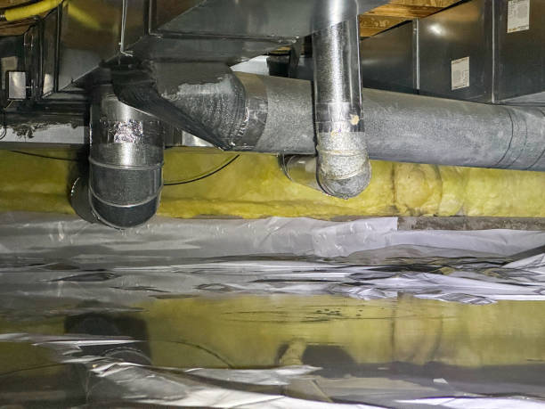 Best Flood restoration services  in Belleville, MI