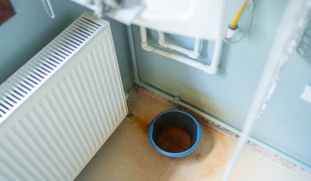 Best Flood restoration services  in Belleville, MI