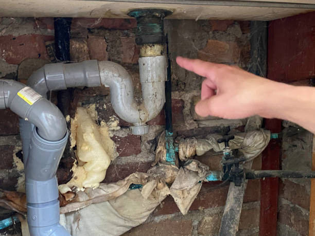 Best Flooded house restoration  in Belleville, MI