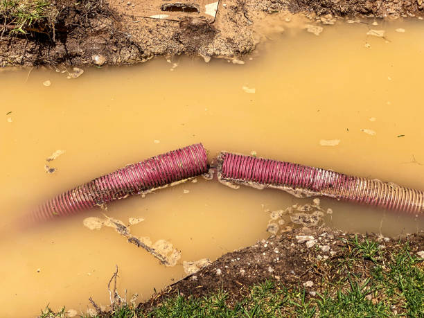 Best Flood damage cleanup  in Belleville, MI