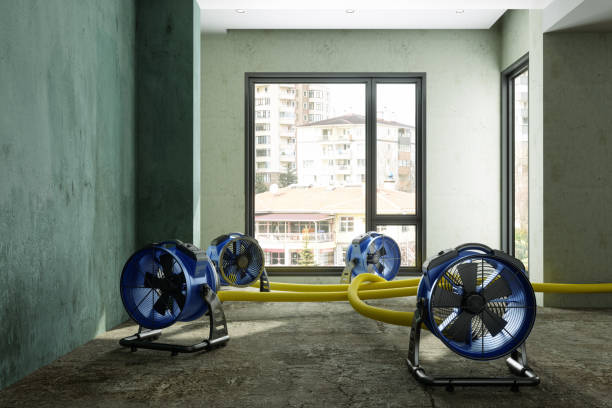 Best Water damage restoration company  in Belleville, MI